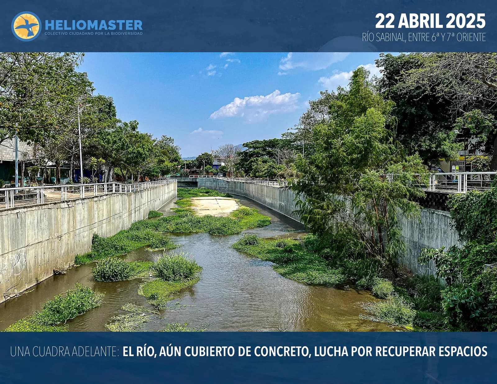 Biodiversidad y paisajes de Chiapas - Fotografía 1