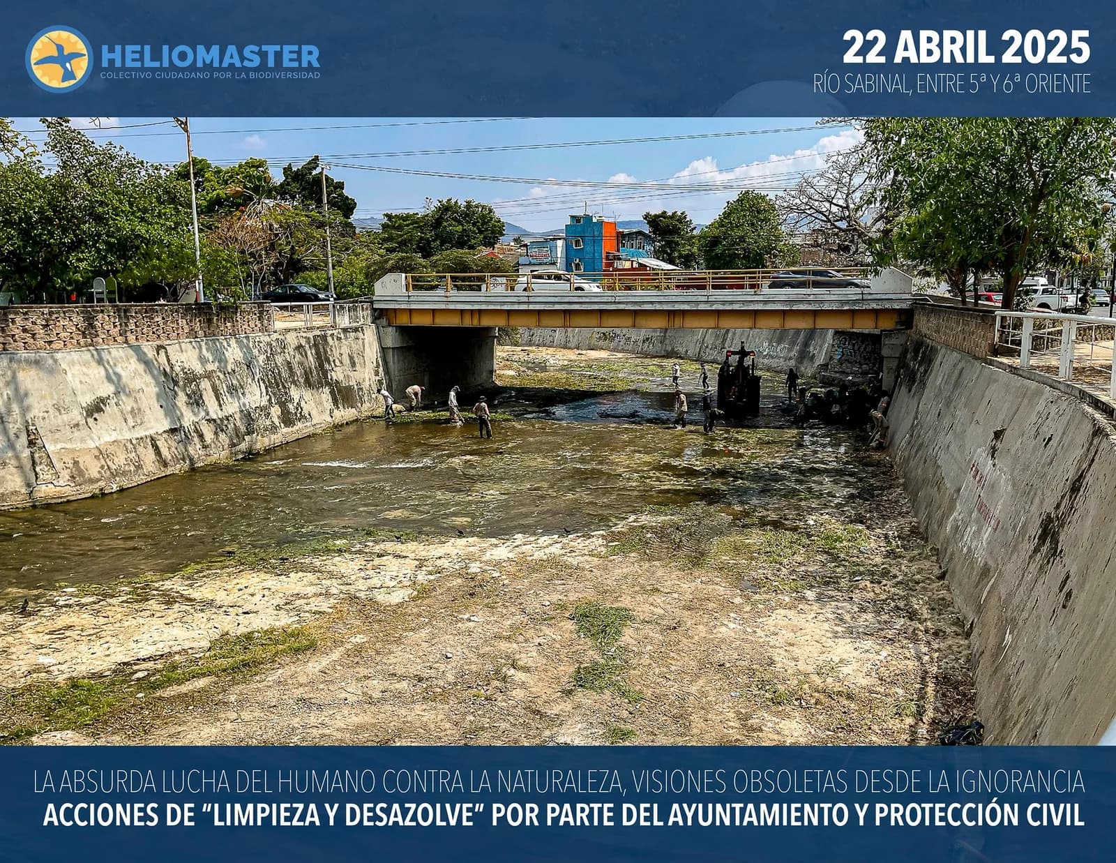 Biodiversidad y paisajes de Chiapas - Fotografía 2