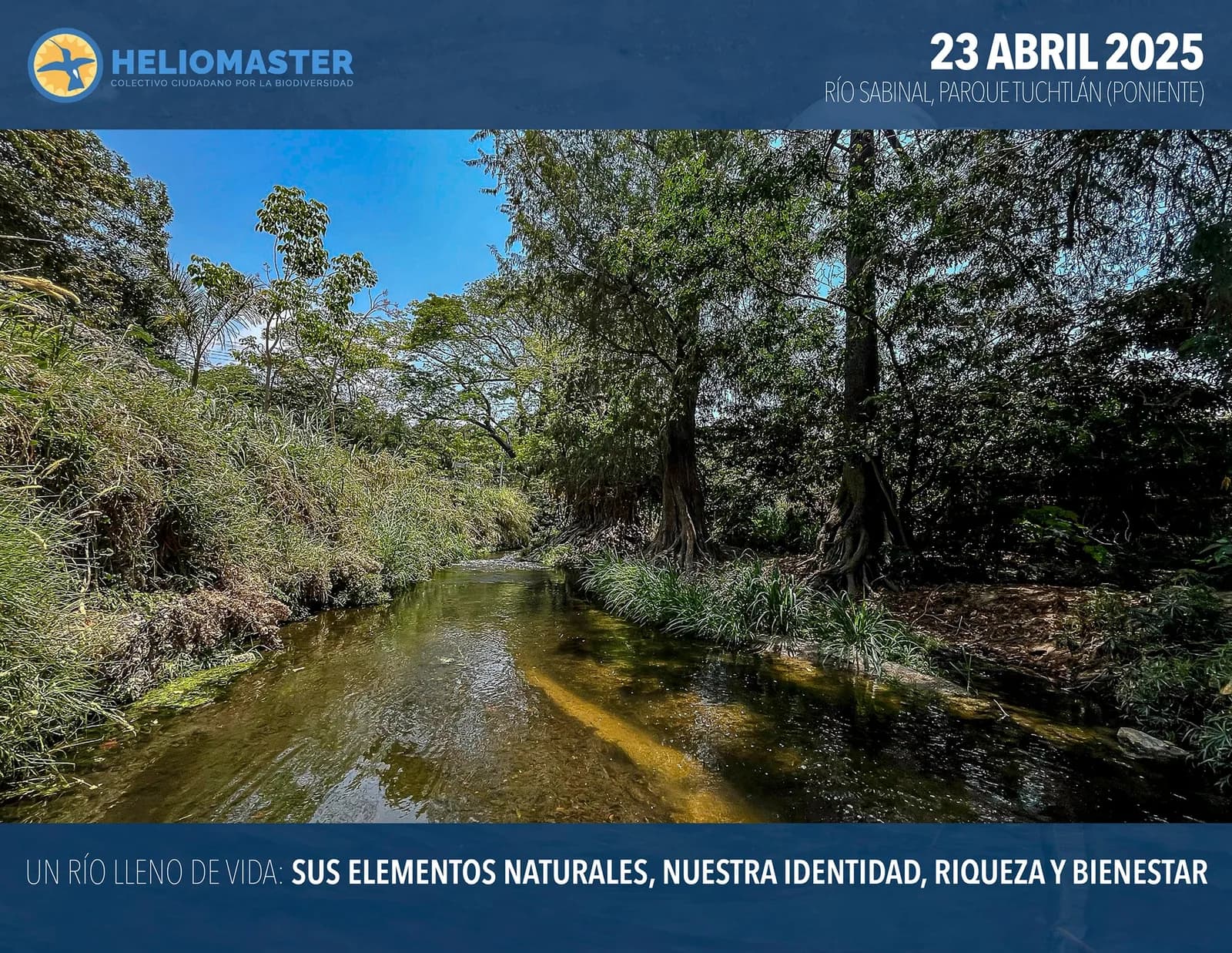 Biodiversidad y paisajes de Chiapas - Fotografía 3